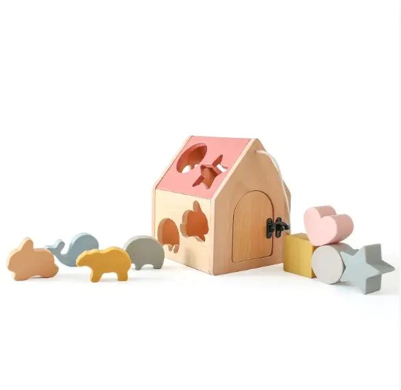 Montessori Wooden 5 - in - 1 Educational Toy - 3R Family Store